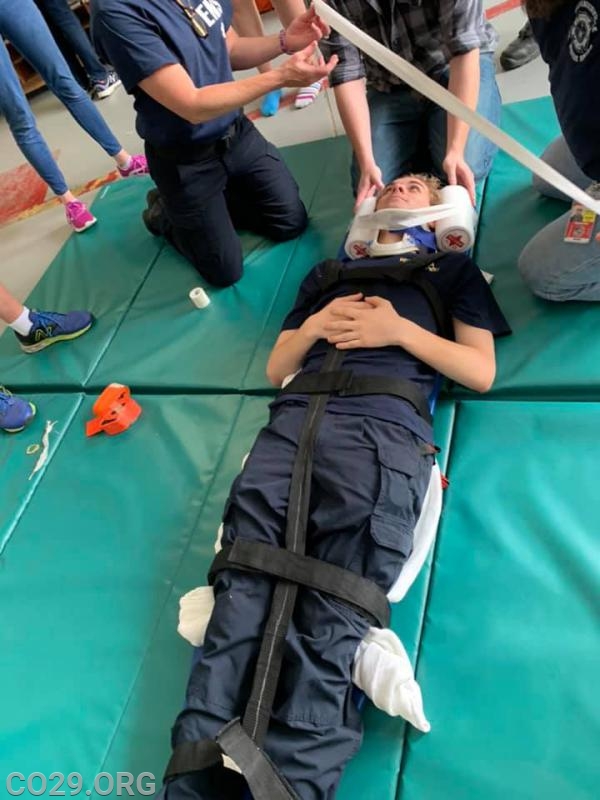 Collar & Backboard training
